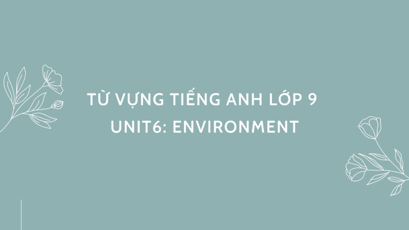 Hình minh họa cho từ vựng tiếng Anh lớp 9 - Unit 6